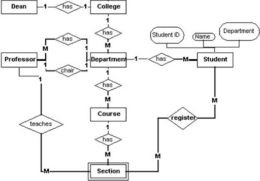 er diagram for college management system pdf